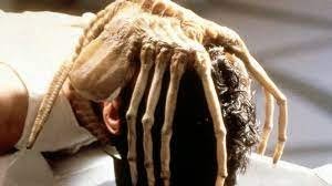 Краб чуть не утопил орлана, пытавшегося его съесть