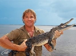 Популярный австралийский ведущий Стив Ирвин погиб в понедельник от удара ската хвостокола. Трагический инцидент произошел во время подводных съемок, когда на 44-летнего натуралиста напал скат и ударил Ирвина в грудь.