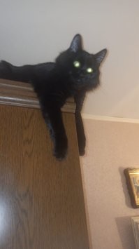 Дальний свет включила