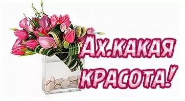 Без запросов и самомнения: девушки, которые давно хотят съехать из хрущёвок