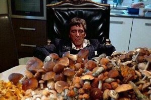 25 щедрых даров природы для тех, кто полагается не только на супермаркет