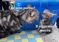 Завтра покажу.....