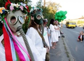 А свиней в противогазах видели?