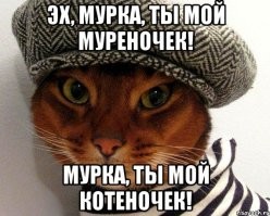 Уличная кошка ворует игрушки из магазина
