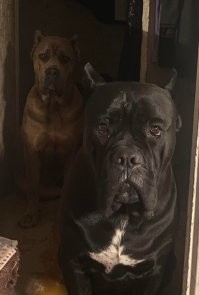 Мы таких любим...