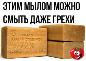 какие бактерии