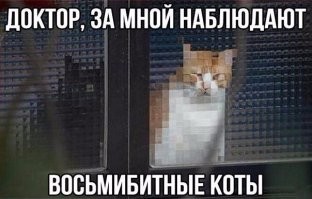 Паранойя не разыгралась бы на ровном месте: пост подозрительности и недоверия