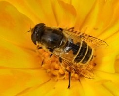 Круть! 
Добавлю свое... Кликабельно, как всегда...