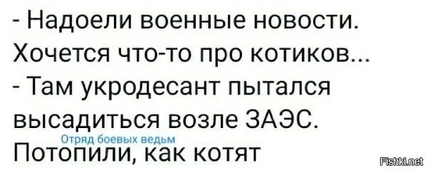 Как и кто поддерживает боевой дух мобилизованных