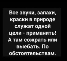 Картинки на ночь на позитиве