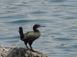 Это мой суперкадр