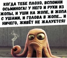 Ну так будешь тут нервным ...