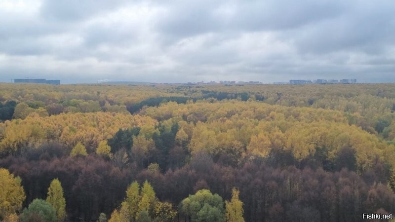 жаль, пасмурно)