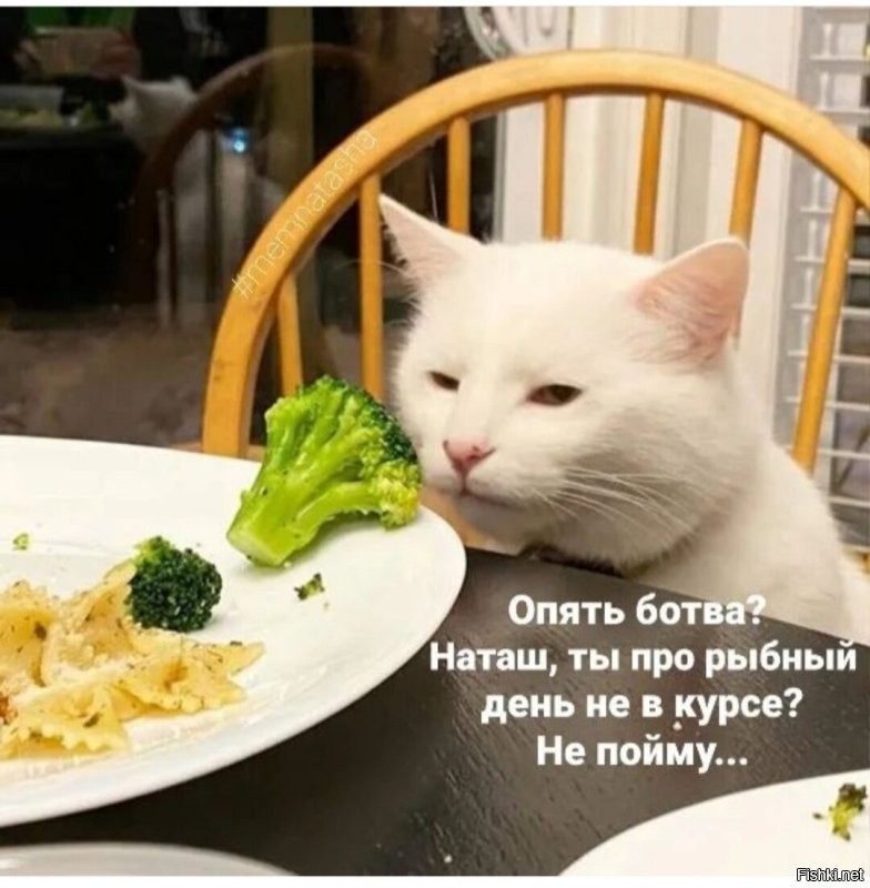 Солянка от 20.10.2022