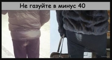 Безумные идеи, которые могут помочь пережить эту зиму