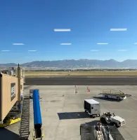 наверное это отражение светильников помещения из которого делали фото через стекло