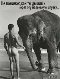 30 великанов, по сравнению с которыми люди кажутся букашками