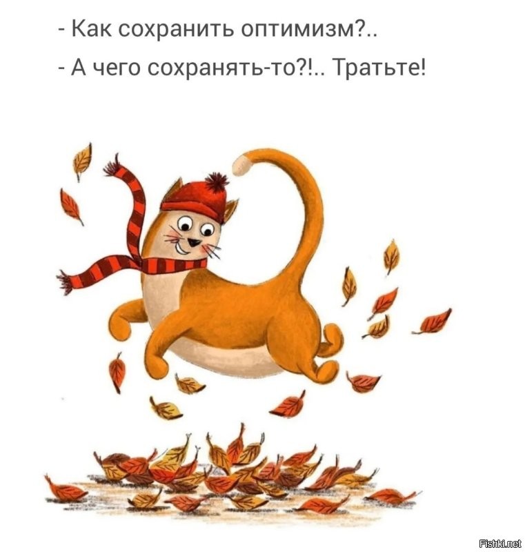Солянка от 21.10.2022