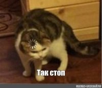 "Страшный день настал 16 декабря 2004 года. Бобби Джо проводила мужа на работу и стала ждать Дарлин – покупательницу."
"В 2001 году Монтгомери, которой было 52 года, все же сделали смертельную инъекцию."