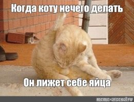 Полгода на сэндвич своими руками - эксперимент Энди Джорджа