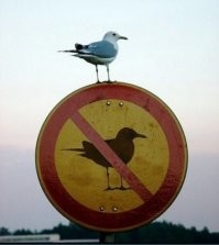 Есть, чем удивить водителей: подборка необычных дорожных знаков с разных уголков мира