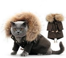 Да ладно возмущаться вам.Одежда для кошек и собак вас не смущает?Лошади не люди что ли?