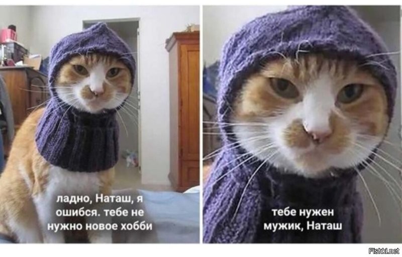 Солянка от 22.10.2022