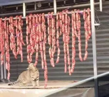 Эх, живут же люди...