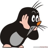 Как украсить дом к Хэллоуину и до смерти напугать соседей