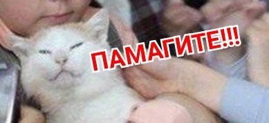 Субботние приколы и комменты из сети