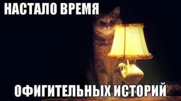 Удивительные истории из жизни