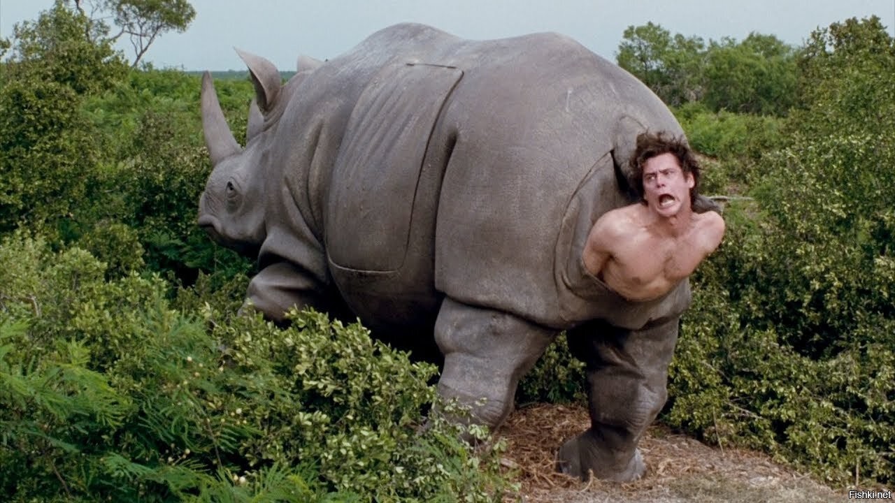 Jim carrey rhino gif