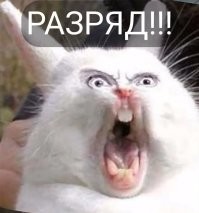 "...подключите ее к розетке и прикоснитесь к утке"