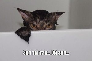 Фотоподборка