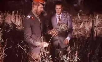 Как растут привычные нам фрукты, овощи и орехи