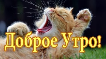 Всем спокойной ночи