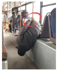 Смешные и познавательные картинки