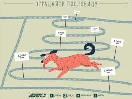 Женщина ехала 10 часов в надежде сдать на права - но провалилась