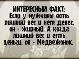 можно завести медвежонка