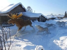 А в это время в голове у собак...