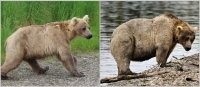 она постарела  на полвека до осени?