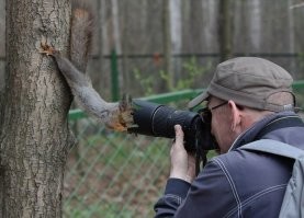 Фотоподборка