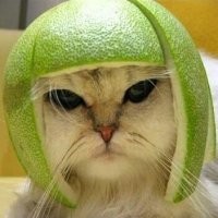 Фотоподборка