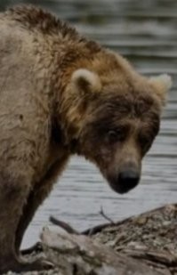 Ну так она осознала, что юность кончилась и она станет матерью-одиночкой
