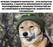 Смешные комментарии из&nbsp;социальных сетей-99