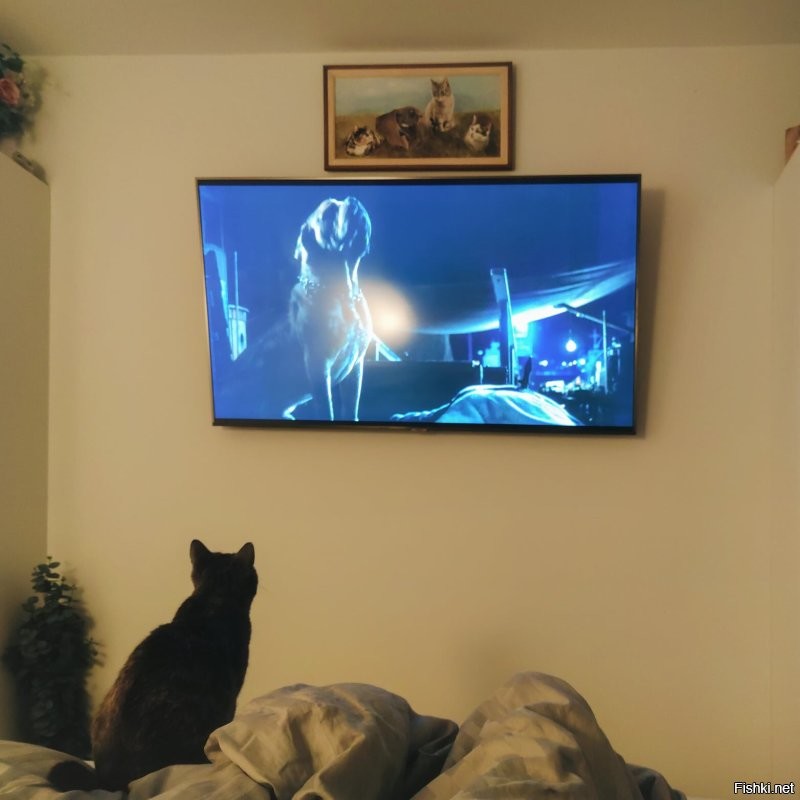 У нас одна из кошек любит внимательно смотреть с нами некоторые фильмы и мульты - японский Чебурашка нашей Варе тоже зашёл, от начала и до конца отсмотрела :)