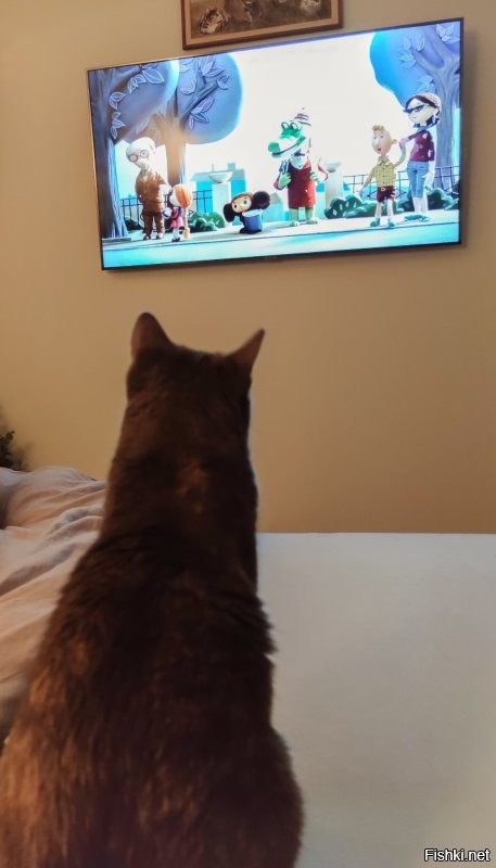 У нас одна из кошек любит внимательно смотреть с нами некоторые фильмы и мульты - японский Чебурашка нашей Варе тоже зашёл, от начала и до конца отсмотрела :)