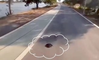 Похоже, здесь уже кто-то бегал.