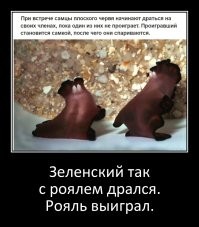 20 неприятных фактов, которые хочется сразу же забыть