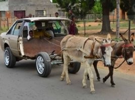 Ему сложно привыкнуть)))))))) к рулю!